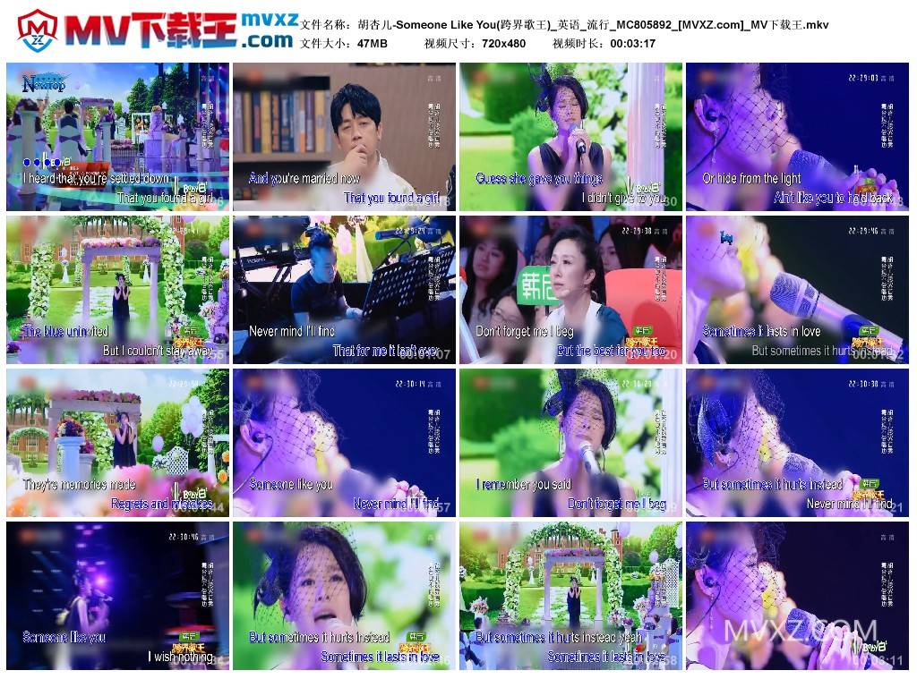 胡杏儿-Someone Like You(跨界歌王)_英语_流行_MC805892